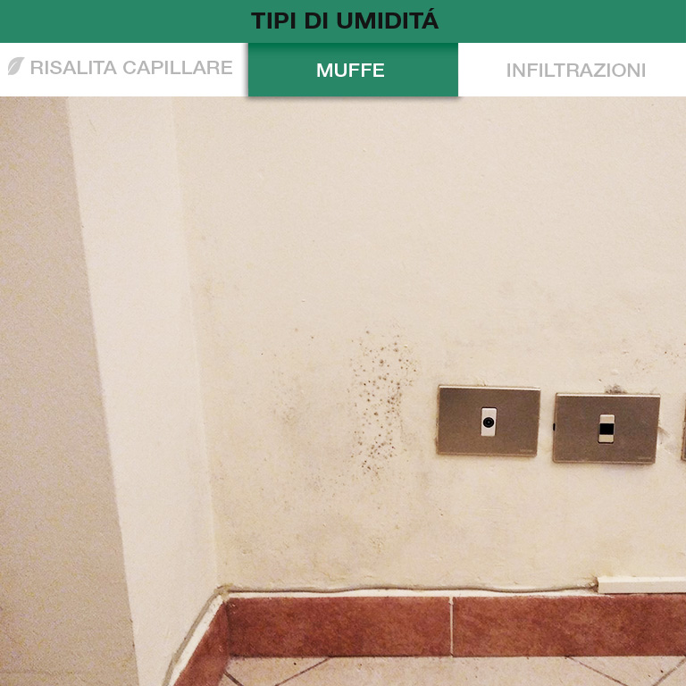 Autoverifica Umidità Muri