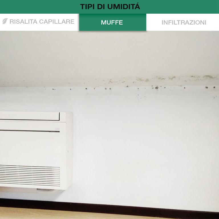 Autoverifica Umidità Muri