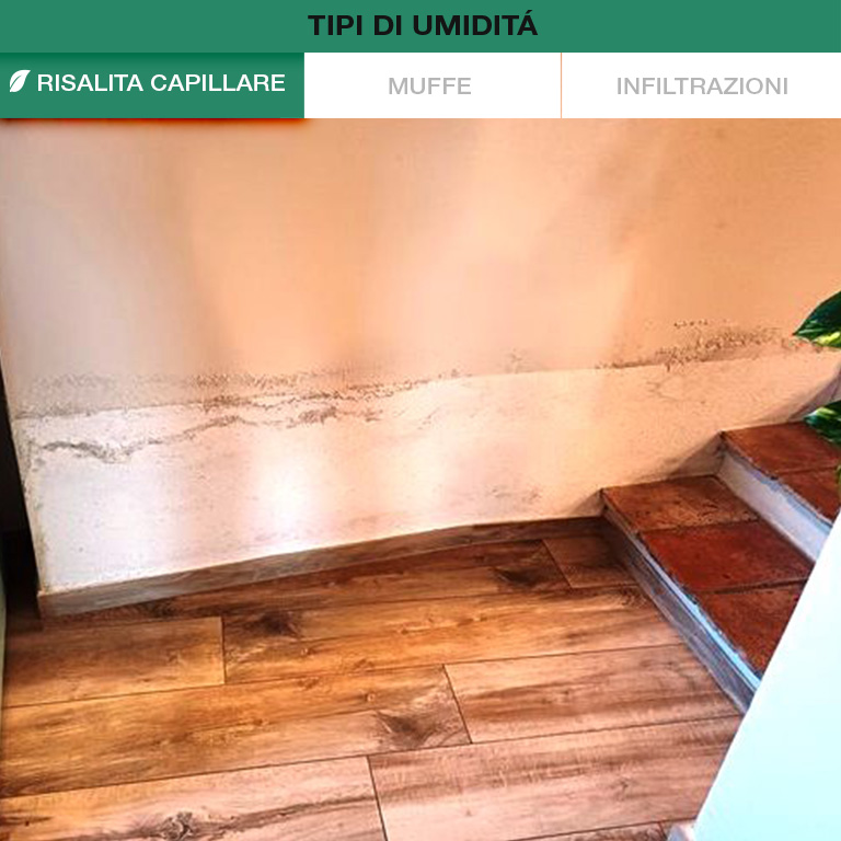 Autoverifica Umidità Muri
