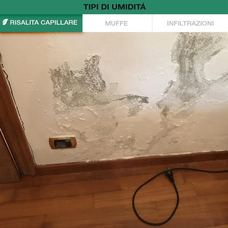 Autoverifica Umidità Muri
