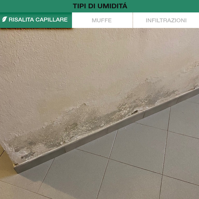 Autoverifica Umidità Muri