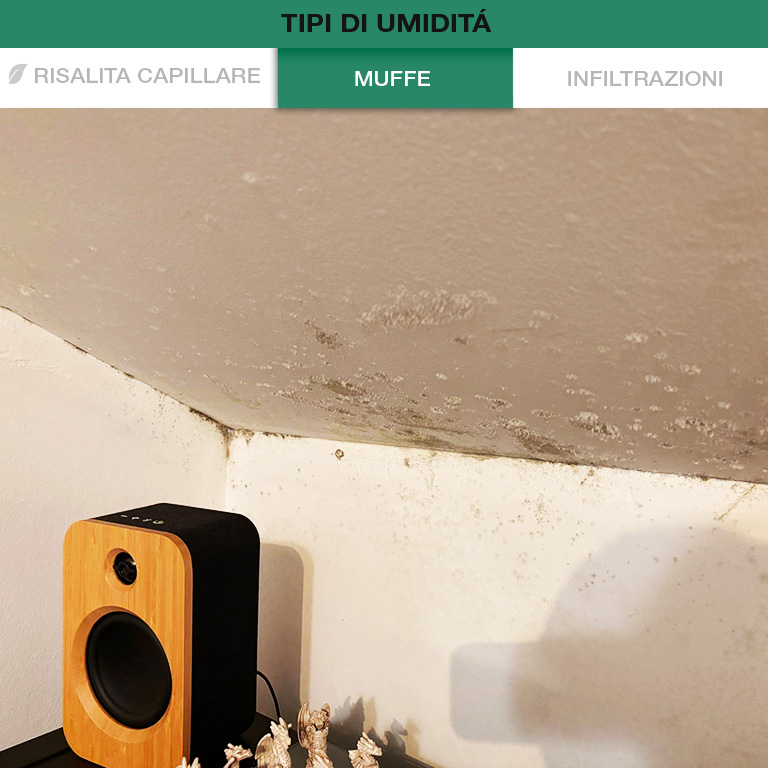 Autoverifica Umidità Muri