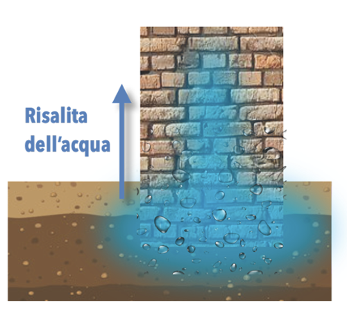 risalita-acqua-muri