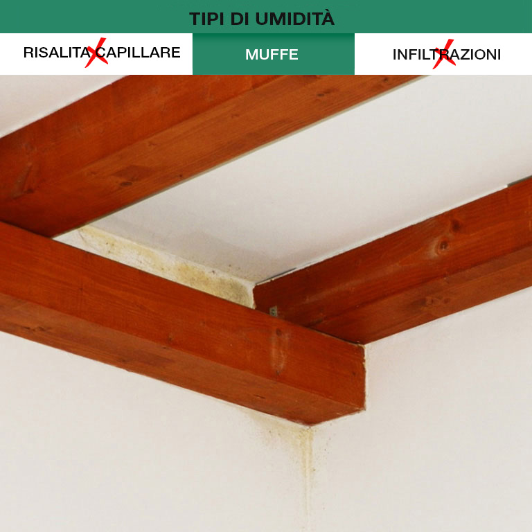 Autoverifica Umidità Muri