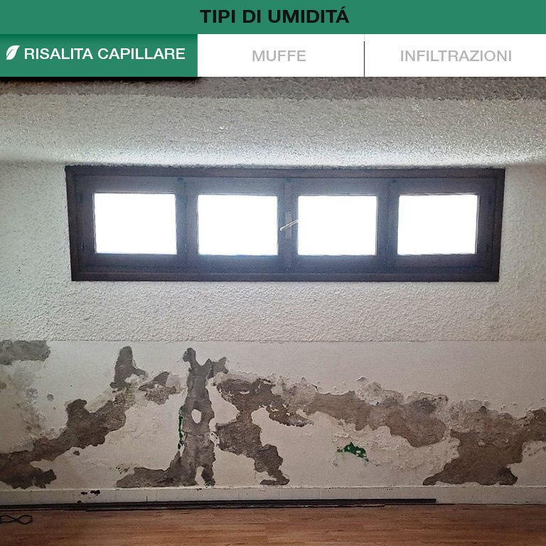 Autoverifica Umidità Muri